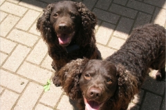 Marra n Emma