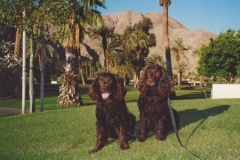 Markey and Molly