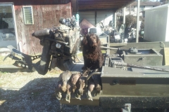 Cow Creeks Trax 2013